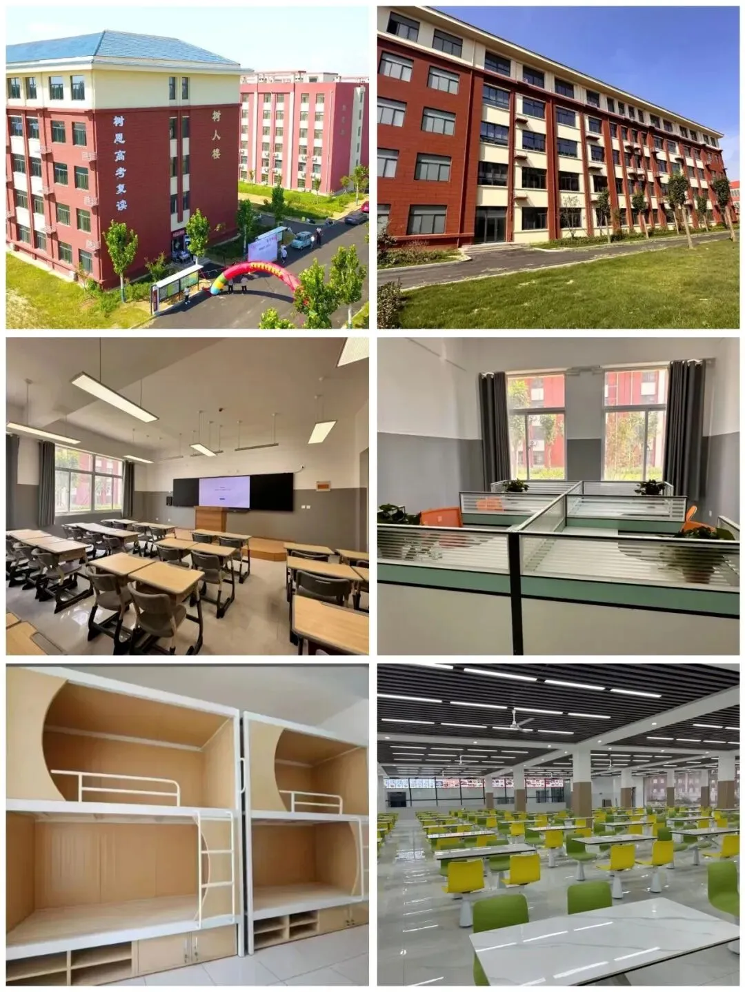 菏泽树恩高考学校艺术生文化课集训招生公告丨国庆期间报名享专属优惠-第4张图片-四季读书网