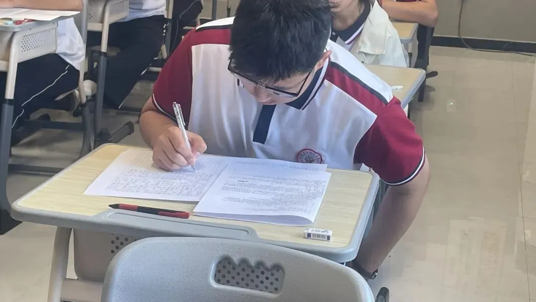 菏泽树恩高考学校艺术生文化课集训招生公告丨国庆期间报名享专属优惠-第20张图片-四季读书网