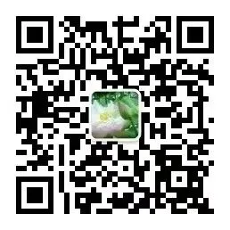 研析高考明方向,精研备考启新程——莲塘一中语文组教师参加南昌市高中语文活动-第2张图片-四季读书网