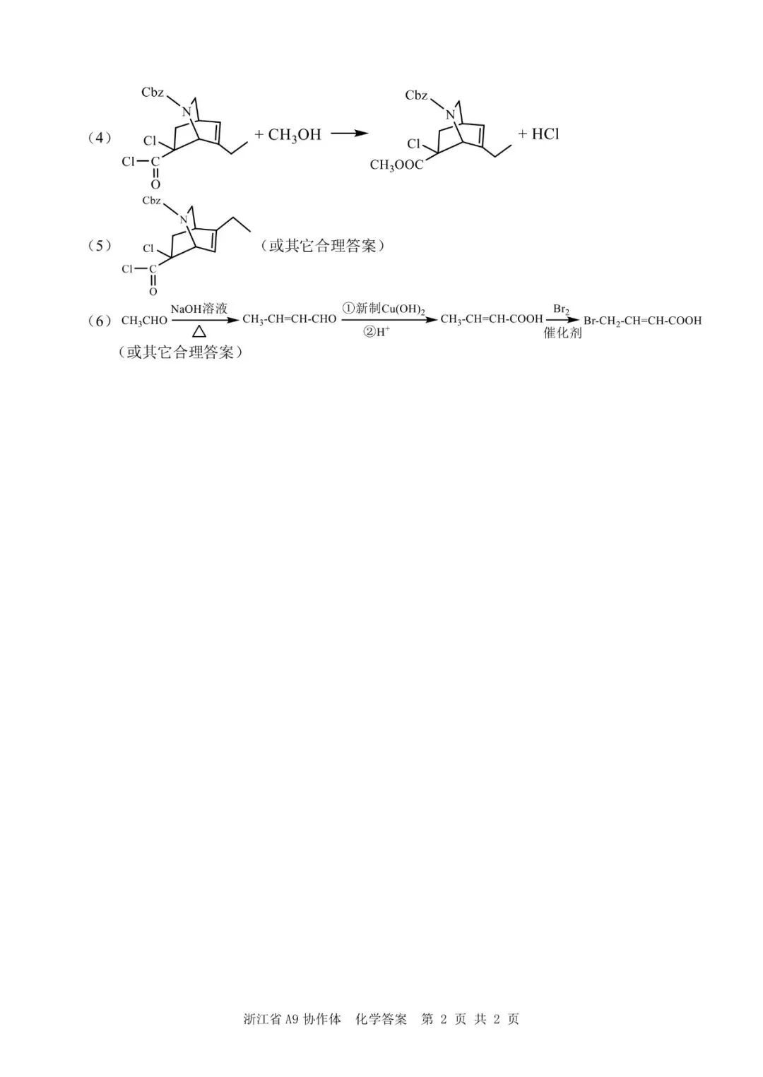试卷|27届8月 浙江省A9协作体返校考-第11张图片-四季读书网 试卷|27届8月 浙江省A9协作体返校考-第11张图片-四季读书网