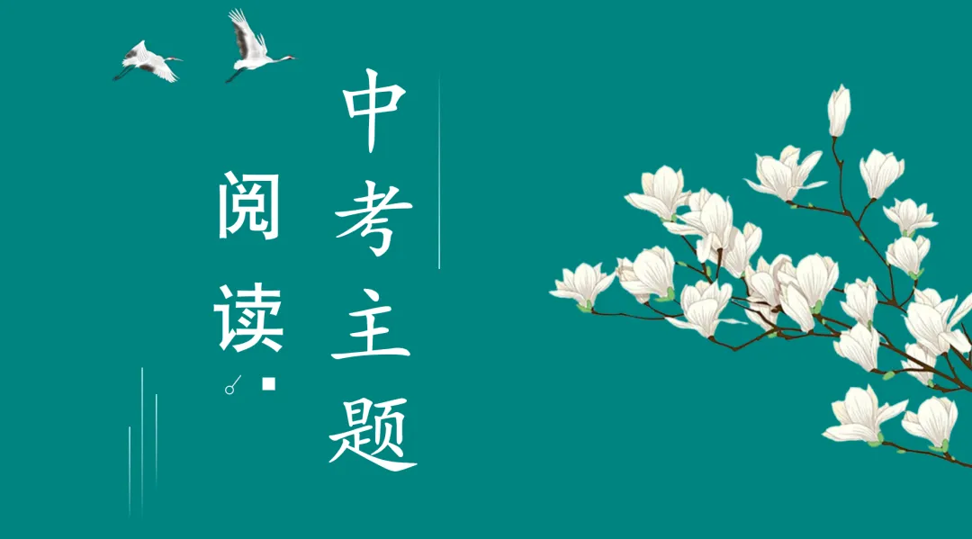 2026全国各地中考文学类文本主题阅读57篇-成长主题-第1张图片-四季读书网