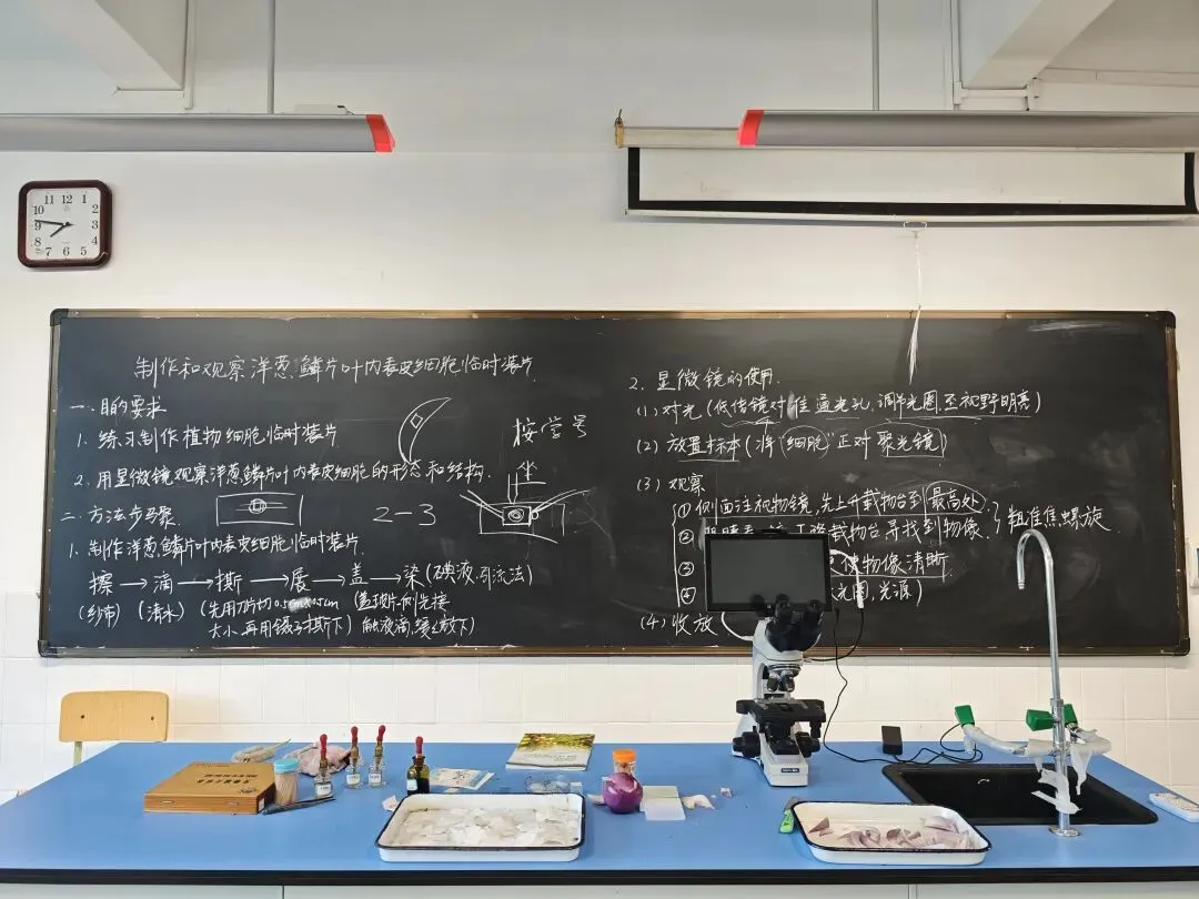 初一萌新第一次进实验室:在显微镜下,遇见生命的模样-第1张图片-四季读书网
