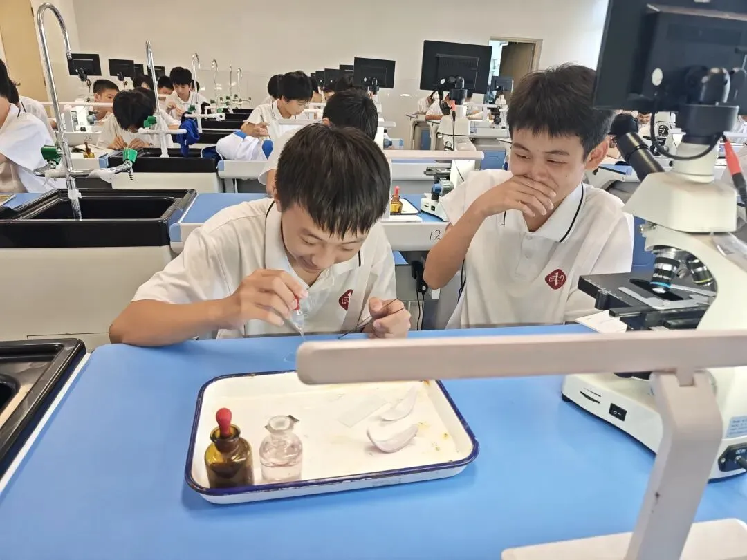 初一萌新第一次进实验室:在显微镜下,遇见生命的模样-第3张图片-四季读书网