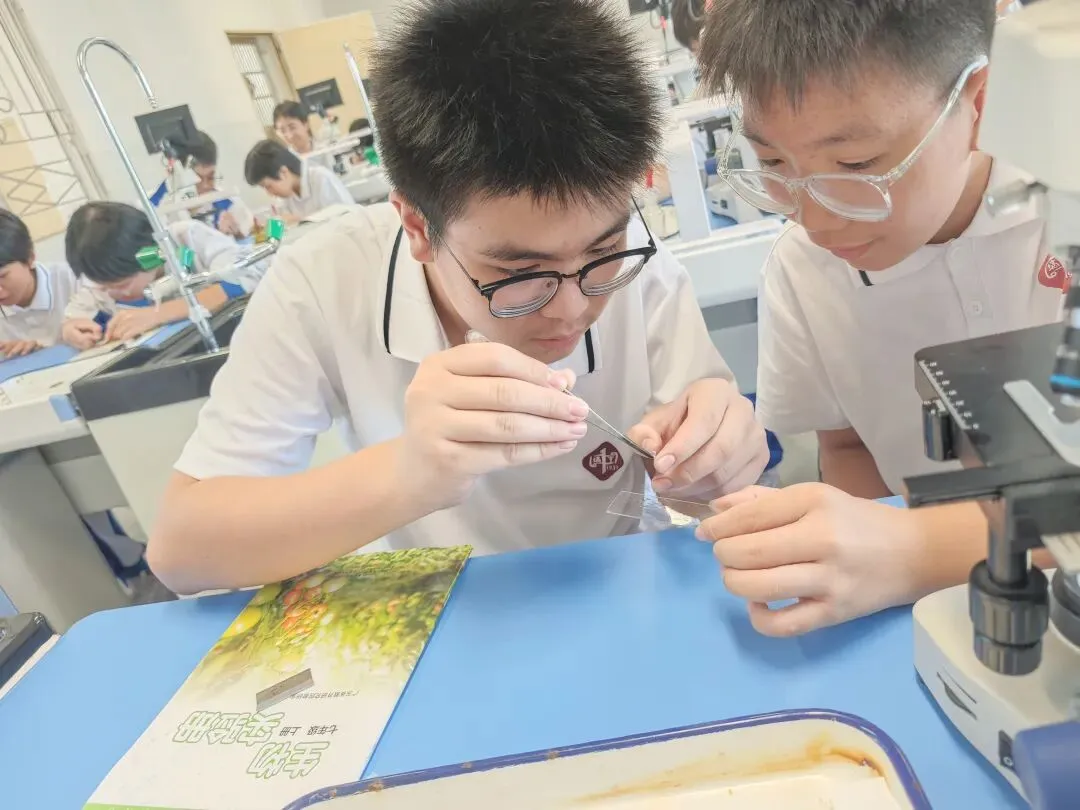 初一萌新第一次进实验室:在显微镜下,遇见生命的模样-第6张图片-四季读书网
