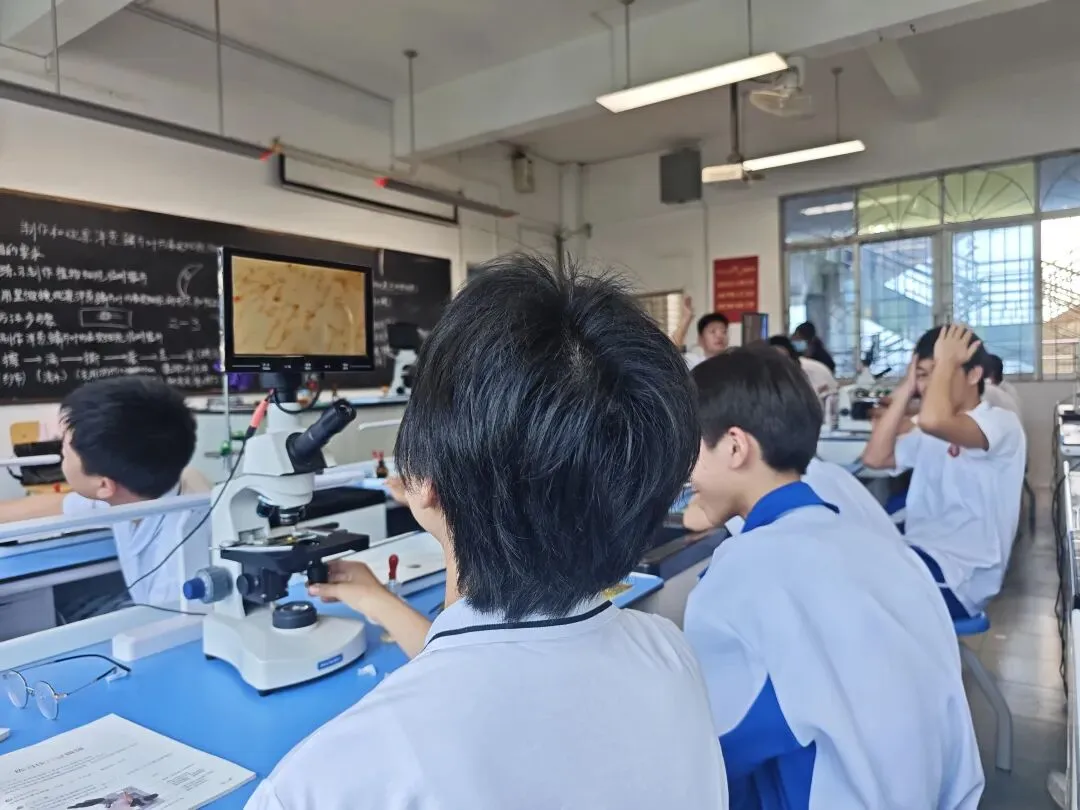 初一萌新第一次进实验室:在显微镜下,遇见生命的模样-第7张图片-四季读书网