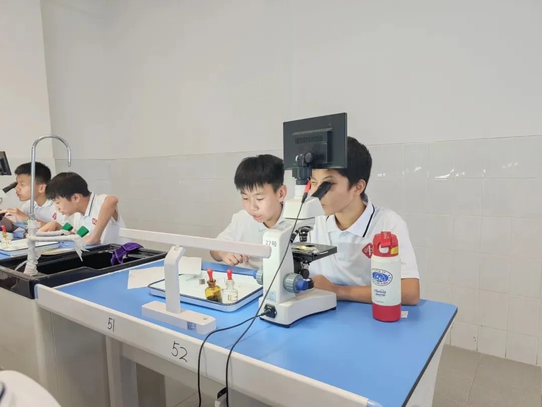初一萌新第一次进实验室:在显微镜下,遇见生命的模样-第8张图片-四季读书网
