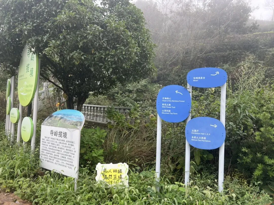 初三哥哥骑行37km挑战萧山天路-第8张图片-四季读书网 初三哥哥骑行37km挑战萧山天路-第8张图片-四季读书网