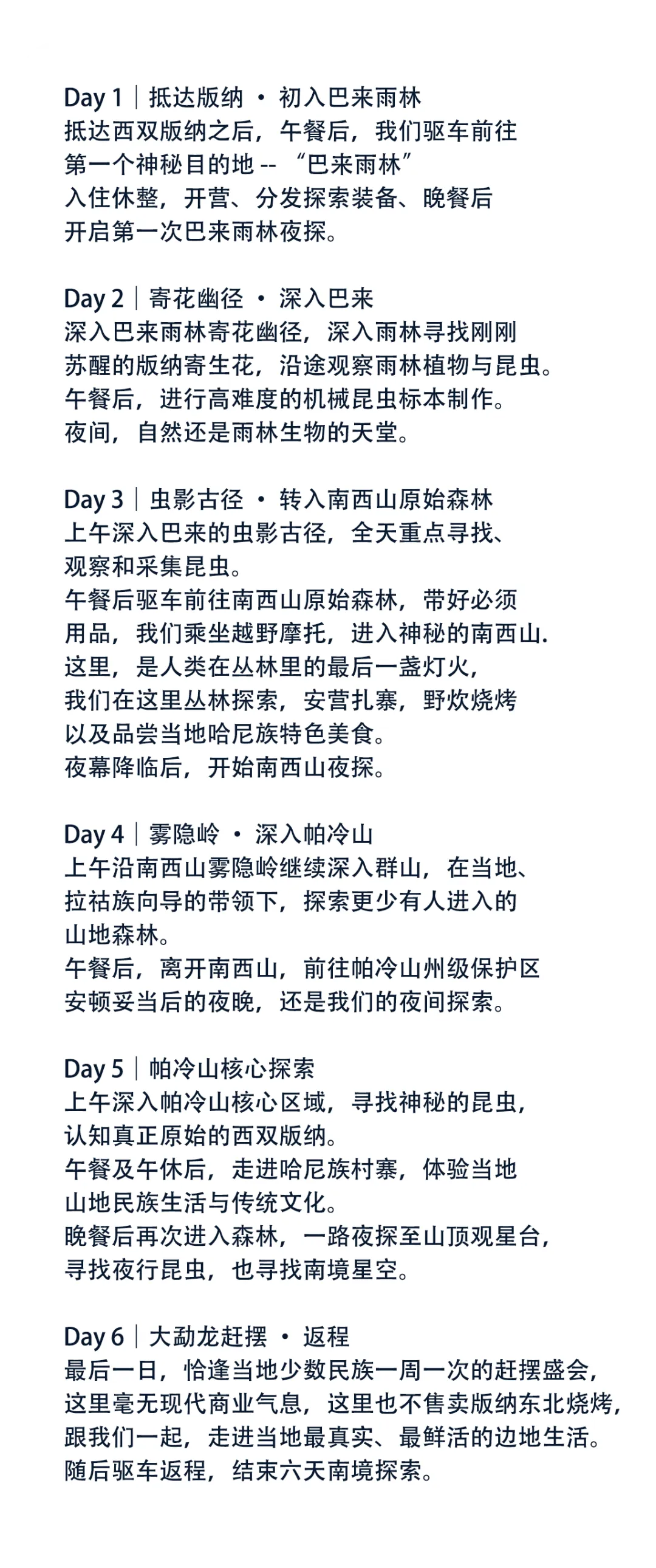 【寒假·春节档】2.8-2.13(初三-初八)西双版纳!独家升级路线!地图之外,未至之境 深探那些未被旅行定义的版纳丛林-第45张图片-四季读书网