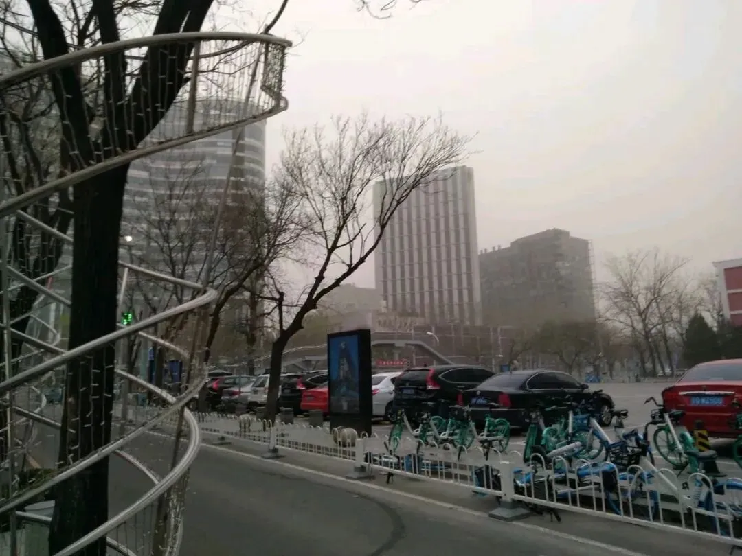 疫情那年为攒钱来终南山隐居,大年初二来北京打零工正值淡季,每天扛塑料管、背渣土,我的生活富含9个智慧与禅理,专治精神内耗-第66张图片-四季读书网