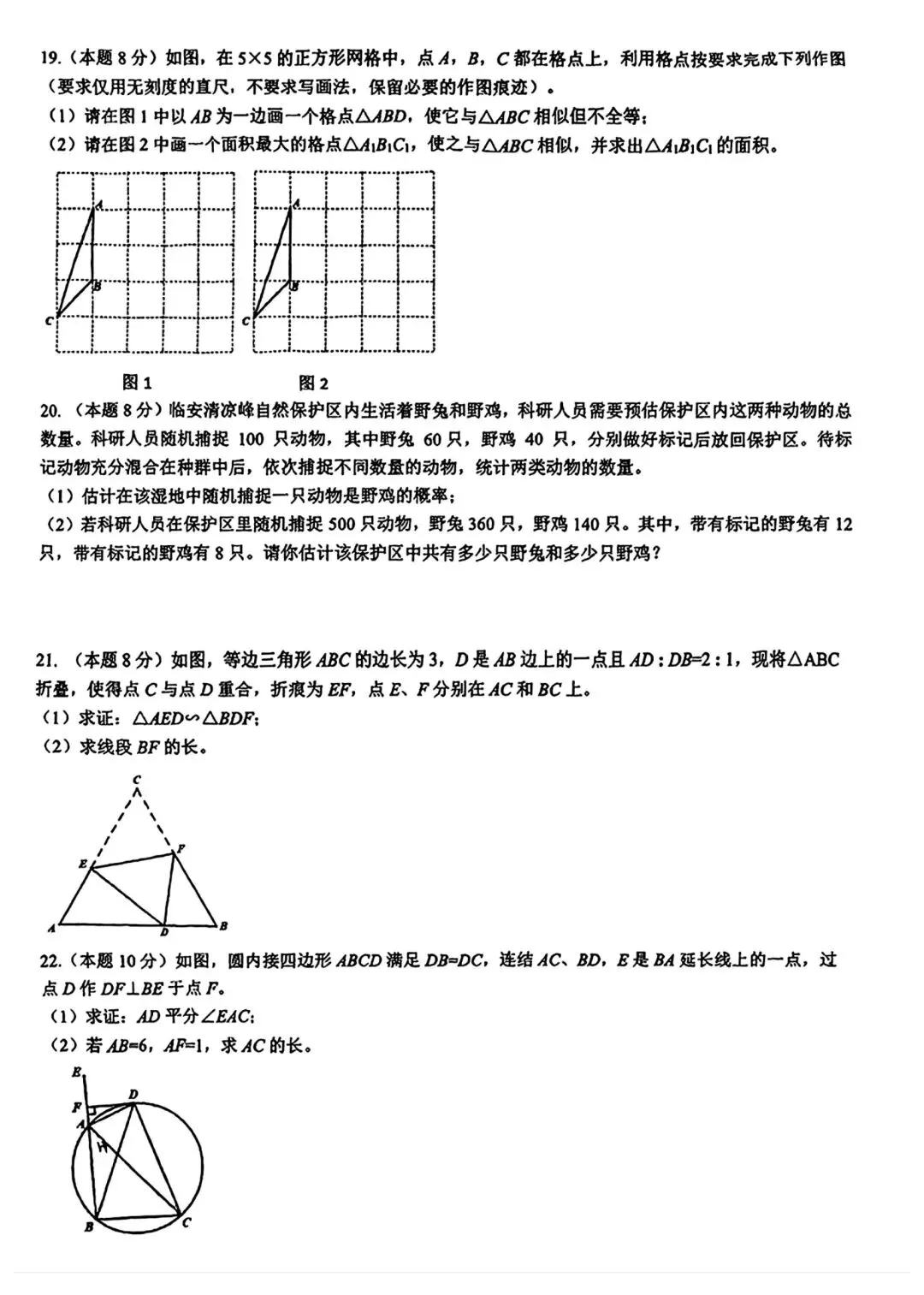 【2026浙江试卷】2026.9杭州市育才中学九上月考数学试卷-第3张图片-四季读书网