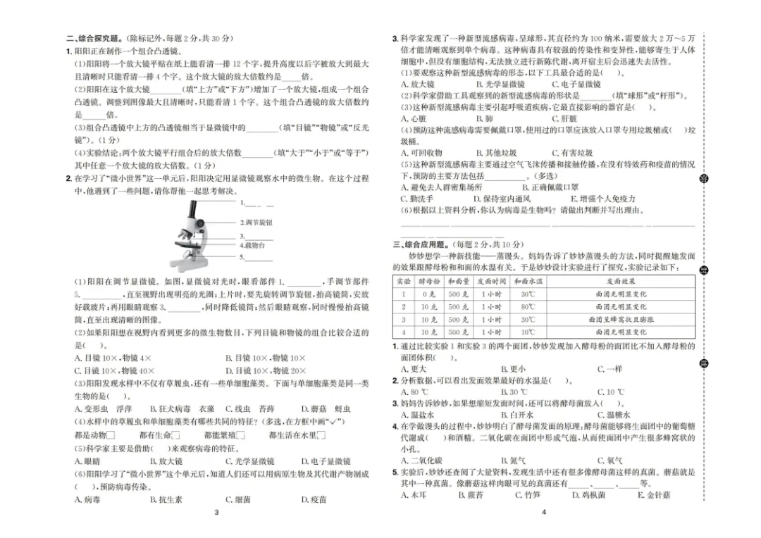 新版三四五六年级上册科学试卷,核心素养卷,含单元卷+期中卷+期末卷(教科版)-第9张图片-四季读书网