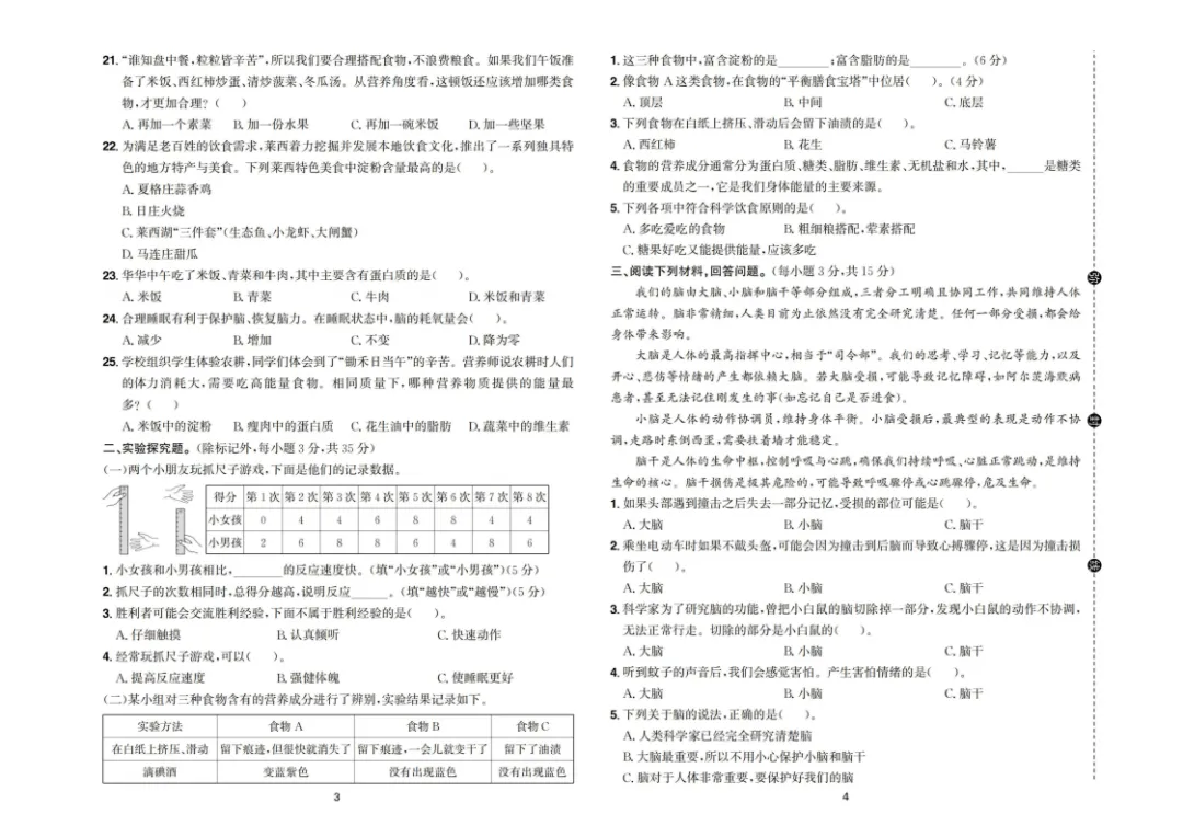 新版三四五六年级上册科学试卷,核心素养卷,含单元卷+期中卷+期末卷(教科版)-第16张图片-四季读书网