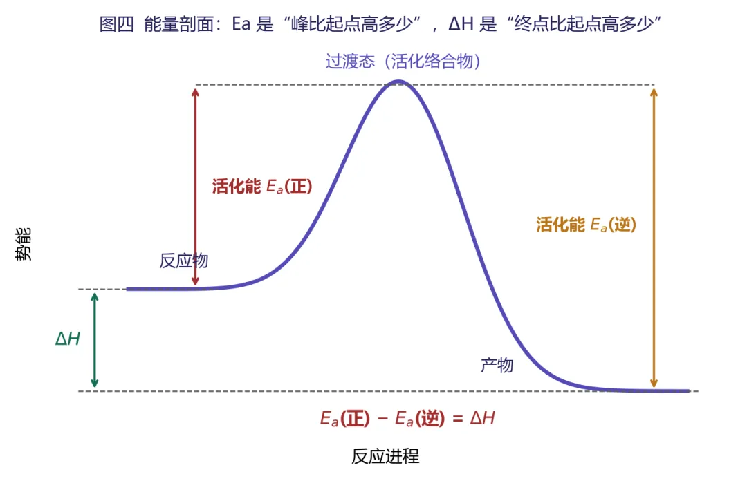 一道高考真题,讲透 k、Ea 与温度的所有“坑”-第5张图片-四季读书网 一道高考真题,讲透 k、Ea 与温度的所有“坑”-第5张图片-四季读书网