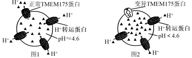 生物高考真题 | 2023年高考生物真题(江苏卷)-第11张图片-四季读书网