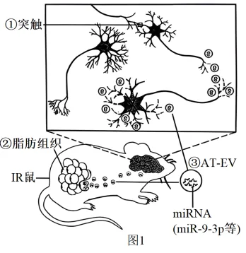 生物高考真题 | 2023年高考生物真题(江苏卷)-第12张图片-四季读书网
