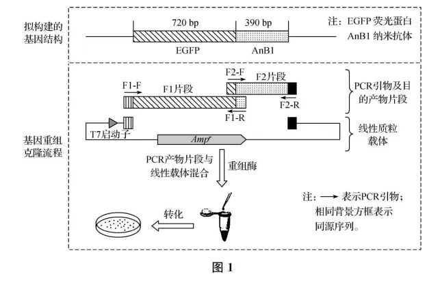 生物高考真题 | 2023年高考生物真题(江苏卷)-第14张图片-四季读书网