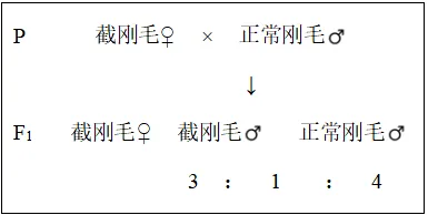 生物高考真题 | 2023年高考生物真题(江苏卷)-第20张图片-四季读书网