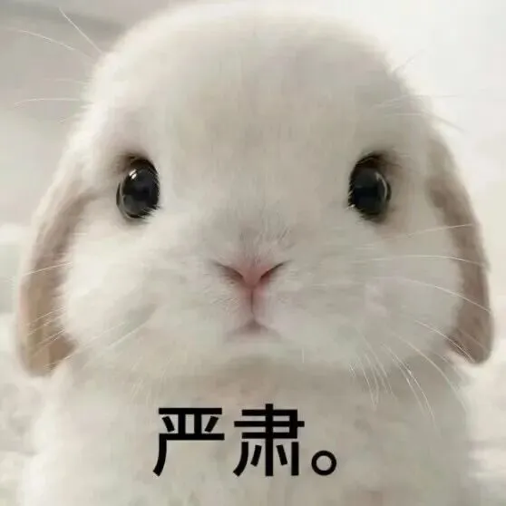 初三这年,我们的应对策略是什么?(一)(2026版)-第9张图片-四季读书网 初三这年,我们的应对策略是什么?(一)(2026版)-第9张图片-四季读书网