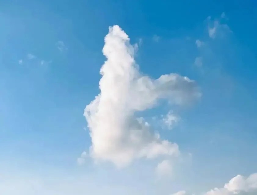与姐妹聊天,聊到初二的孩子,我为自己说过的话愧疚很久-第1张图片-四季读书网 与姐妹聊天,聊到初二的孩子,我为自己说过的话愧疚很久-第1张图片-四季读书网