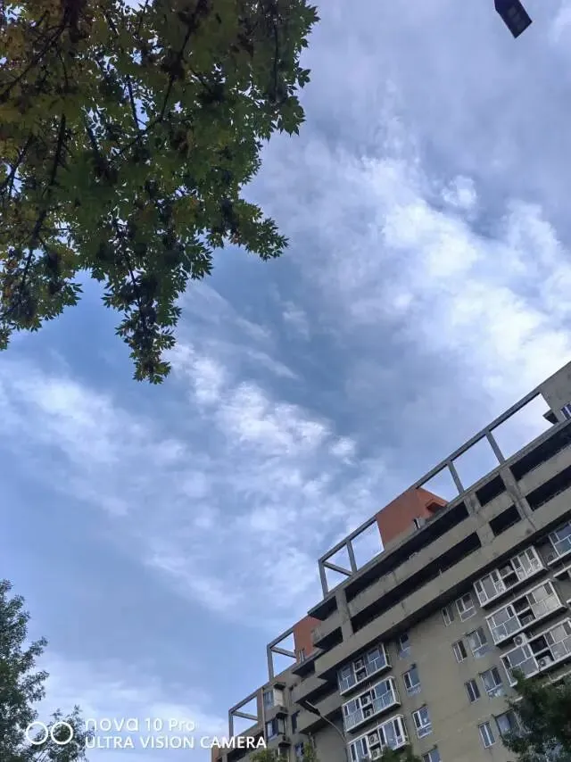 与姐妹聊天,聊到初二的孩子,我为自己说过的话愧疚很久-第2张图片-四季读书网 与姐妹聊天,聊到初二的孩子,我为自己说过的话愧疚很久-第2张图片-四季读书网