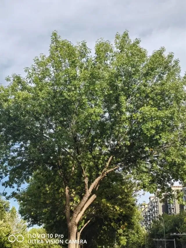与姐妹聊天,聊到初二的孩子,我为自己说过的话愧疚很久-第5张图片-四季读书网 与姐妹聊天,聊到初二的孩子,我为自己说过的话愧疚很久-第5张图片-四季读书网