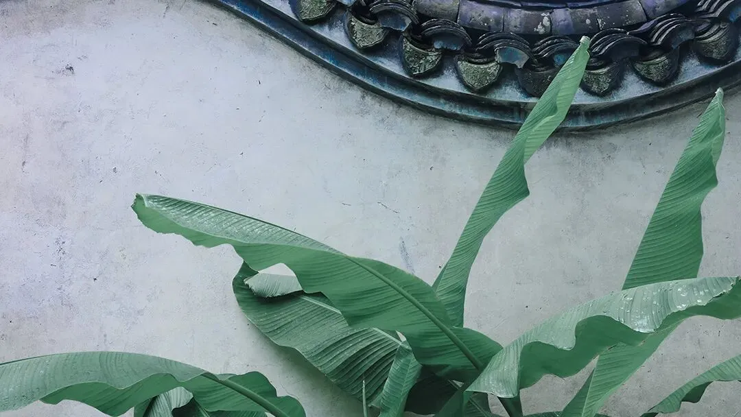初一专属班徽投票开启|脑洞全开,每一款都带专属气质!-第11张图片-四季读书网