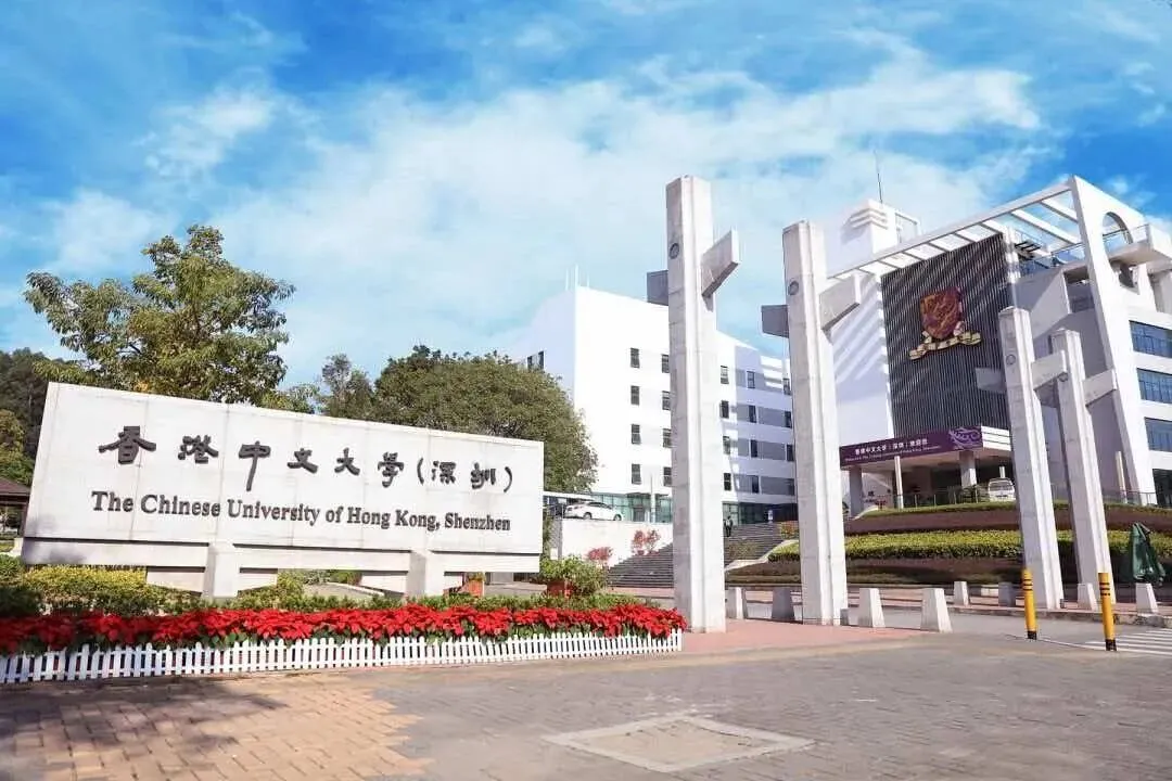 2027高考/如何利用信息差来实现＂低分高录＂/985院校中外合作办学升学优势与规划逻辑/雅思才是通关密码!-第4张图片-四季读书网