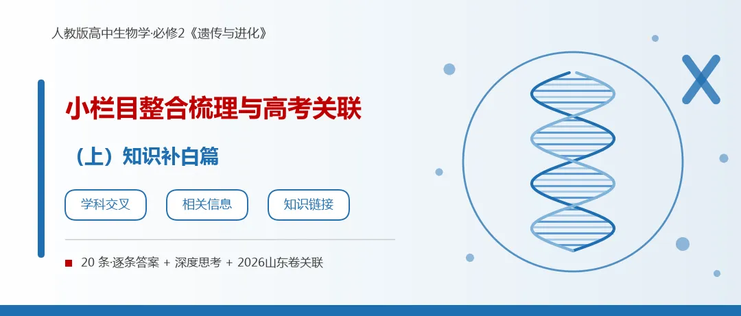 2-1.必修2小栏目整合梳理与高考关联(2026山东卷)(上)·知识补白篇-第1张图片-四季读书网