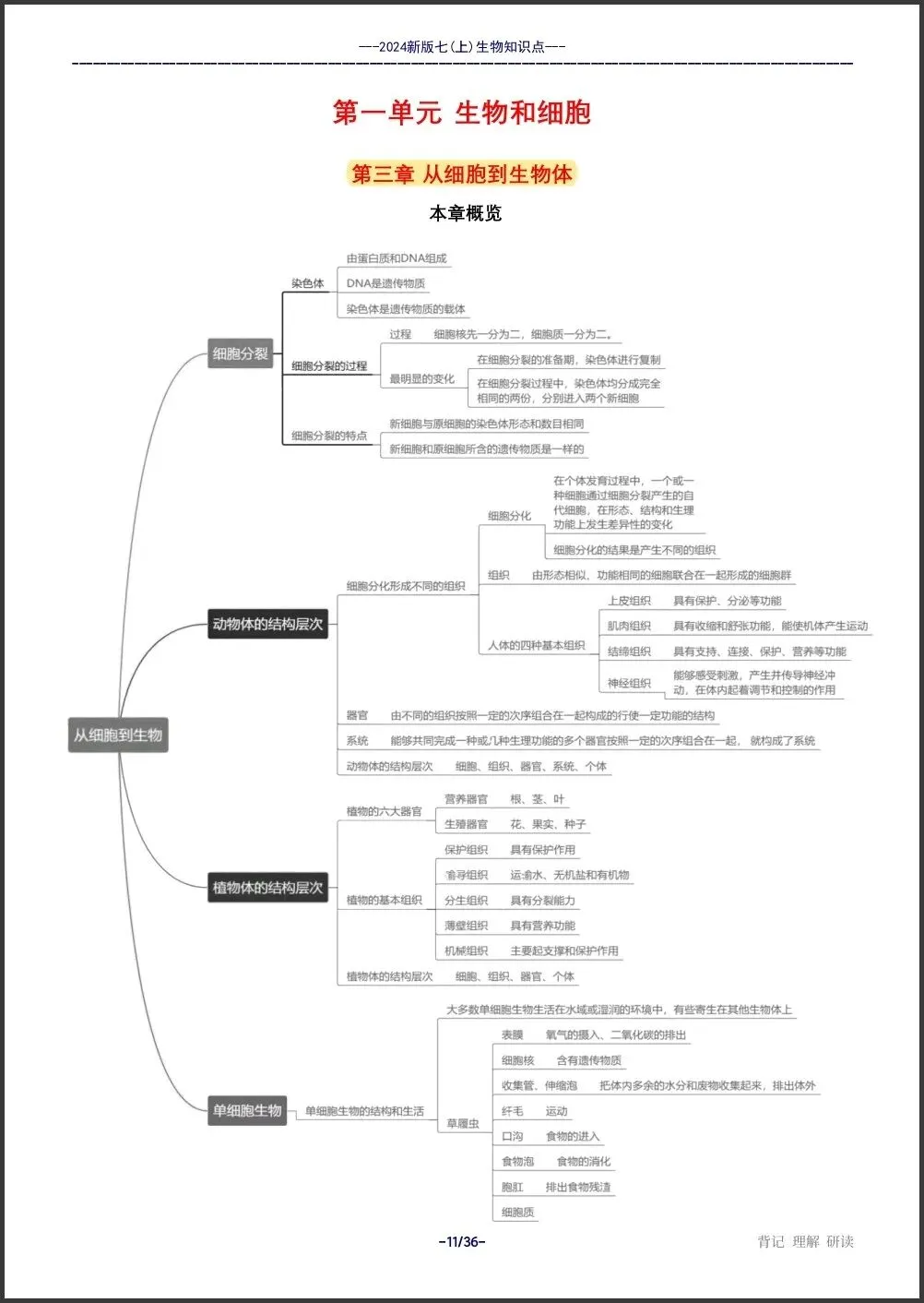 初一新教材 2026 七上生物全册重点梳理汇总,电子打印版!-第5张图片-四季读书网