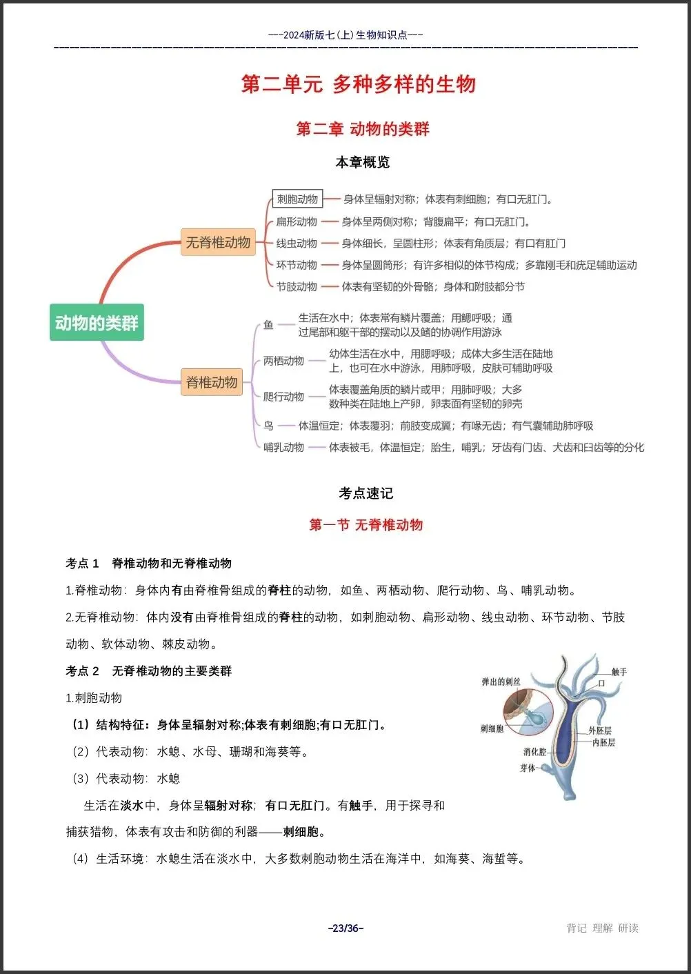 初一新教材 2026 七上生物全册重点梳理汇总,电子打印版!-第9张图片-四季读书网