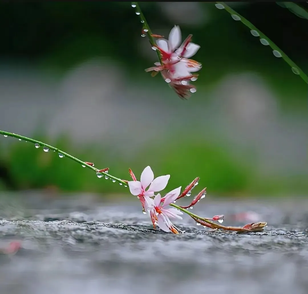 高考志愿:保证专业的志愿填法.-第1张图片-四季读书网