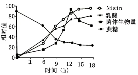 生物高考真题 | 2023年高考生物真题(河北卷)-第4张图片-四季读书网 生物高考真题 | 2023年高考生物真题(河北卷)-第4张图片-四季读书网