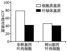 生物高考真题 | 2023年高考生物真题(河北卷)-第5张图片-四季读书网 生物高考真题 | 2023年高考生物真题(河北卷)-第5张图片-四季读书网