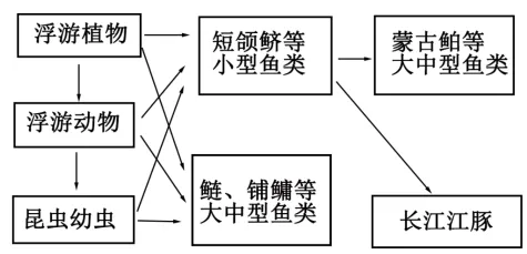 生物高考真题 | 2023年高考生物真题(河北卷)-第7张图片-四季读书网 生物高考真题 | 2023年高考生物真题(河北卷)-第7张图片-四季读书网