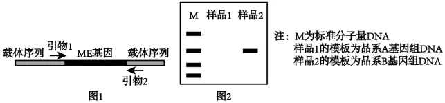 生物高考真题 | 2023年高考生物真题(河北卷)-第8张图片-四季读书网 生物高考真题 | 2023年高考生物真题(河北卷)-第8张图片-四季读书网