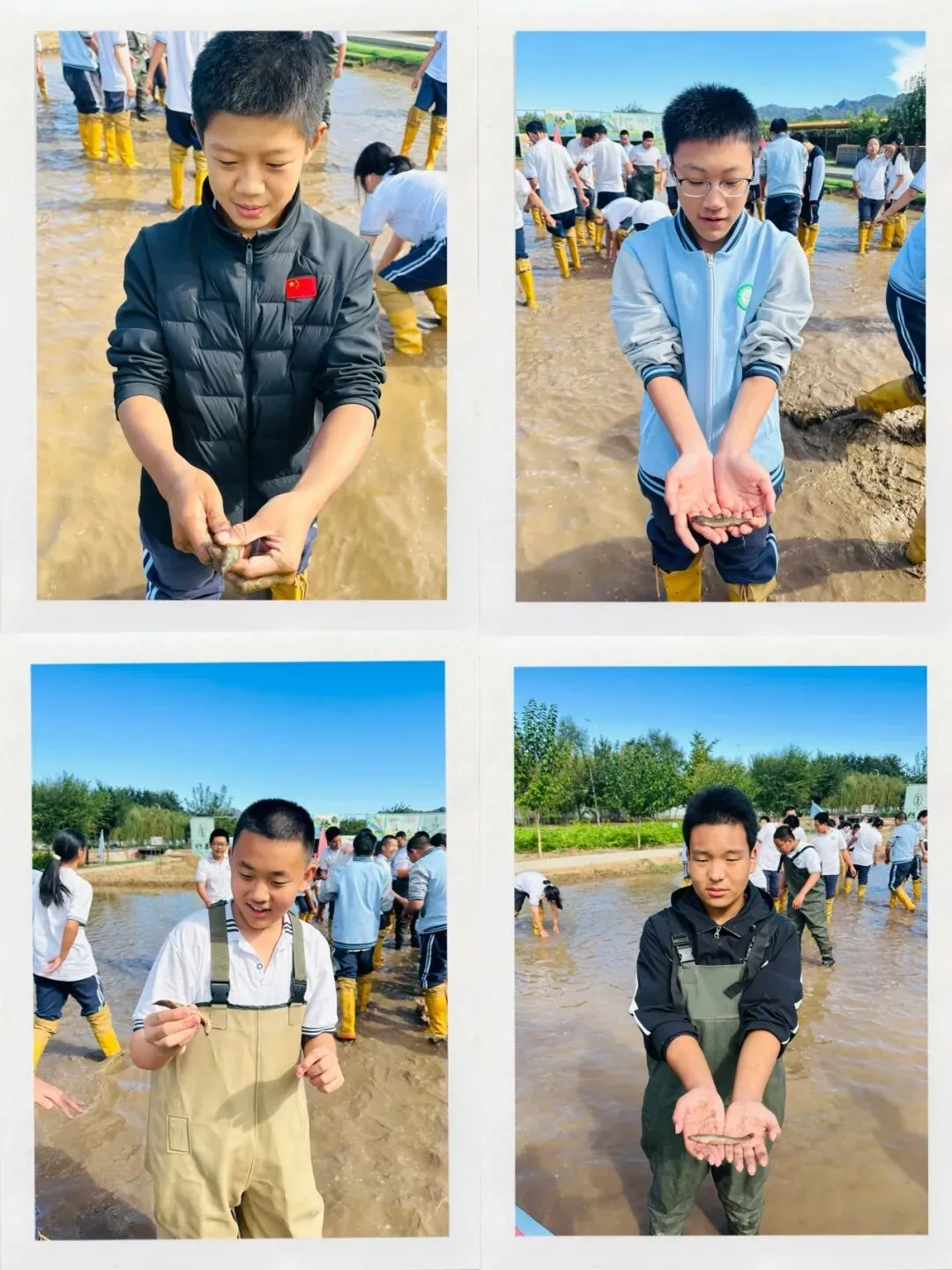 躬耕田野间 砺志少年行——桥梓中学初二年级兆丰小麦科创园研学纪实-第14张图片-四季读书网