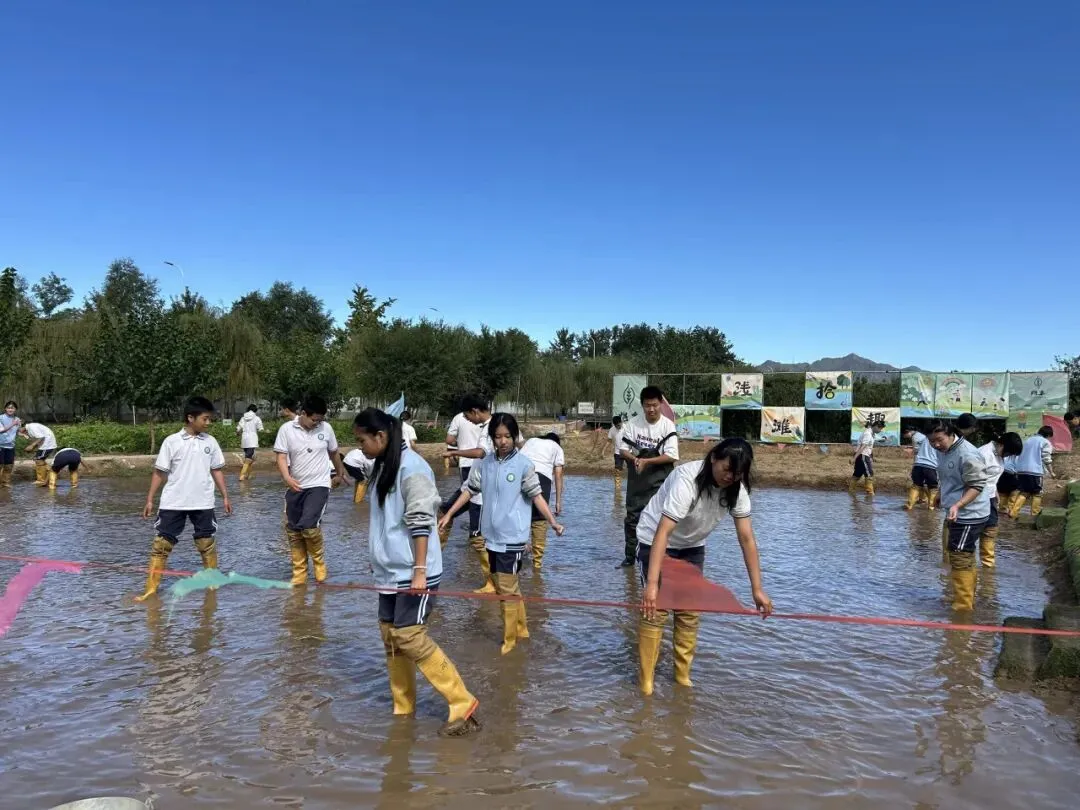 躬耕田野间 砺志少年行——桥梓中学初二年级兆丰小麦科创园研学纪实-第17张图片-四季读书网