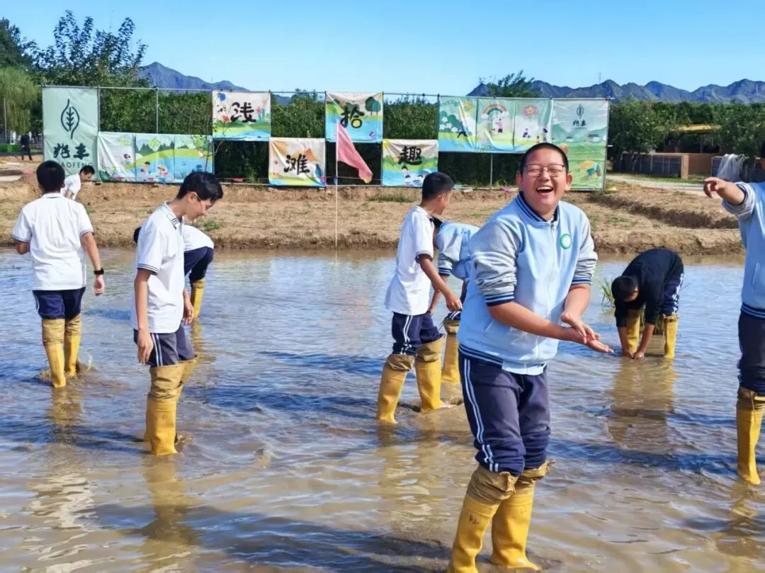 躬耕田野间 砺志少年行——桥梓中学初二年级兆丰小麦科创园研学纪实-第18张图片-四季读书网