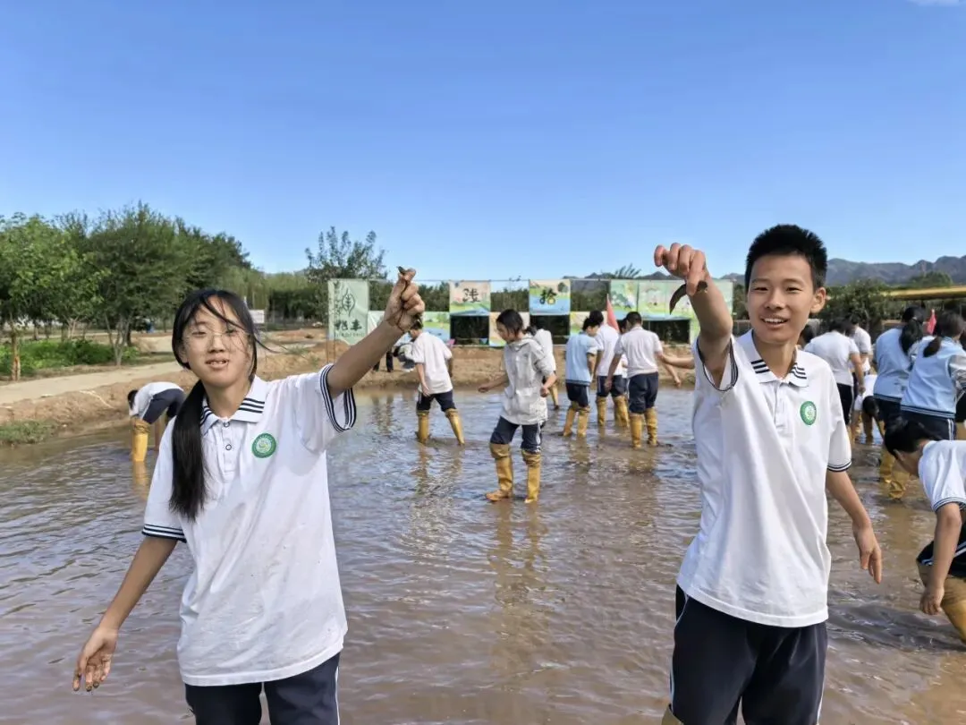 躬耕田野间 砺志少年行——桥梓中学初二年级兆丰小麦科创园研学纪实-第24张图片-四季读书网