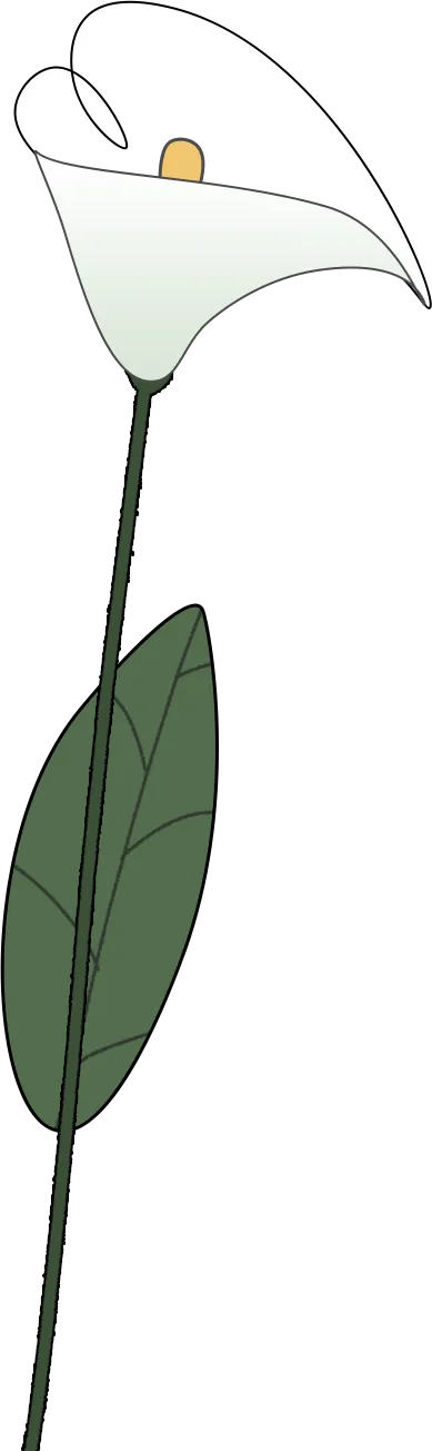 中考范文精讲《捡拾起时光的碎片》,细节描写高分示范-第4张图片-四季读书网