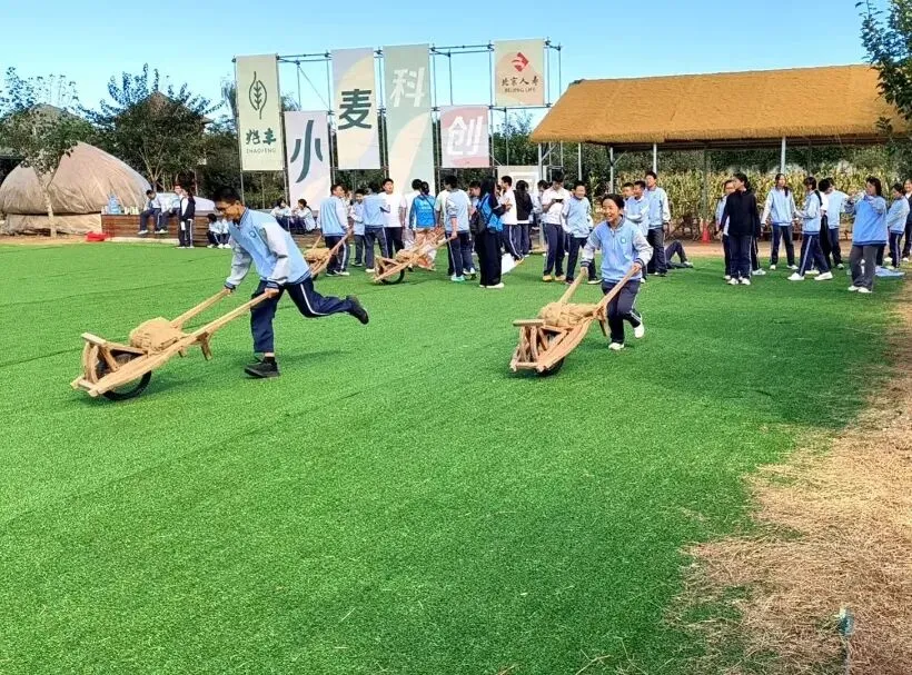躬耕田野间 砺志少年行——桥梓中学初二年级兆丰小麦科创园研学纪实-第44张图片-四季读书网