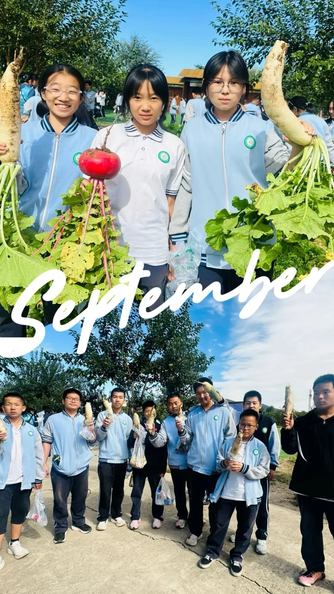 躬耕田野间 砺志少年行——桥梓中学初二年级兆丰小麦科创园研学纪实-第54张图片-四季读书网