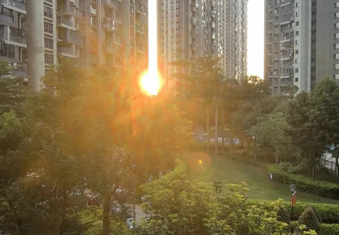 一个初二孩子的求救:我们不是教育专家,但能做孩子的防空洞吗?-第1张图片-四季读书网