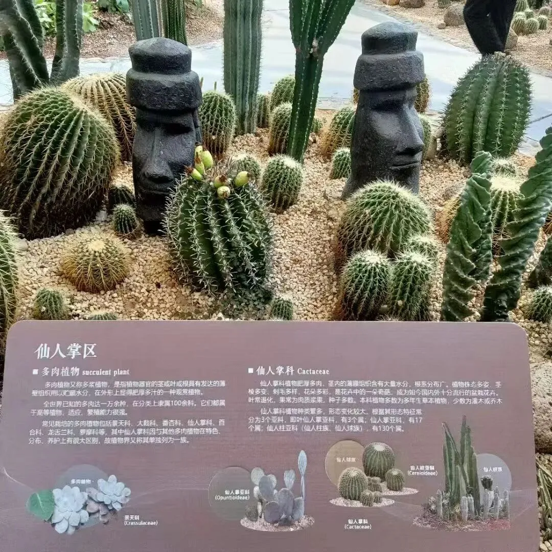 英语丨令初三新生蒙圈的七个句子成分和三大从句-第10张图片-四季读书网
