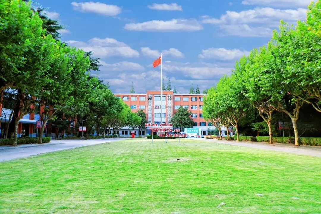 【高考倒计时29天】同济大学医学院临床医学(本博贯通培养)专业介绍-第3张图片-四季读书网