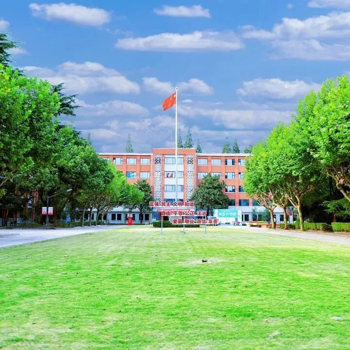 【高考倒计时29天】同济大学医学院临床医学(本博贯通培养)专业介绍-第10张图片-四季读书网