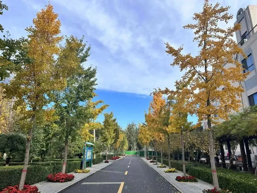 中考指南 | 2027届河北辛集中学学校介绍-第5张图片-四季读书网
