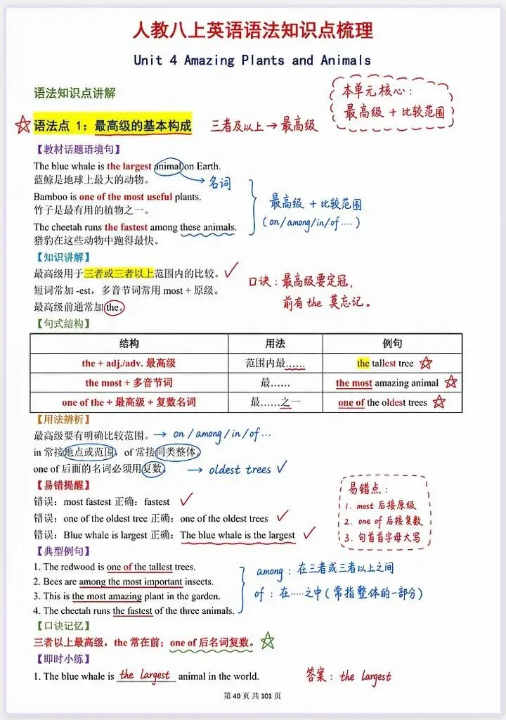 初二丨2026八年级上册人教版英语知识点总结语法讲练-第1张图片-四季读书网