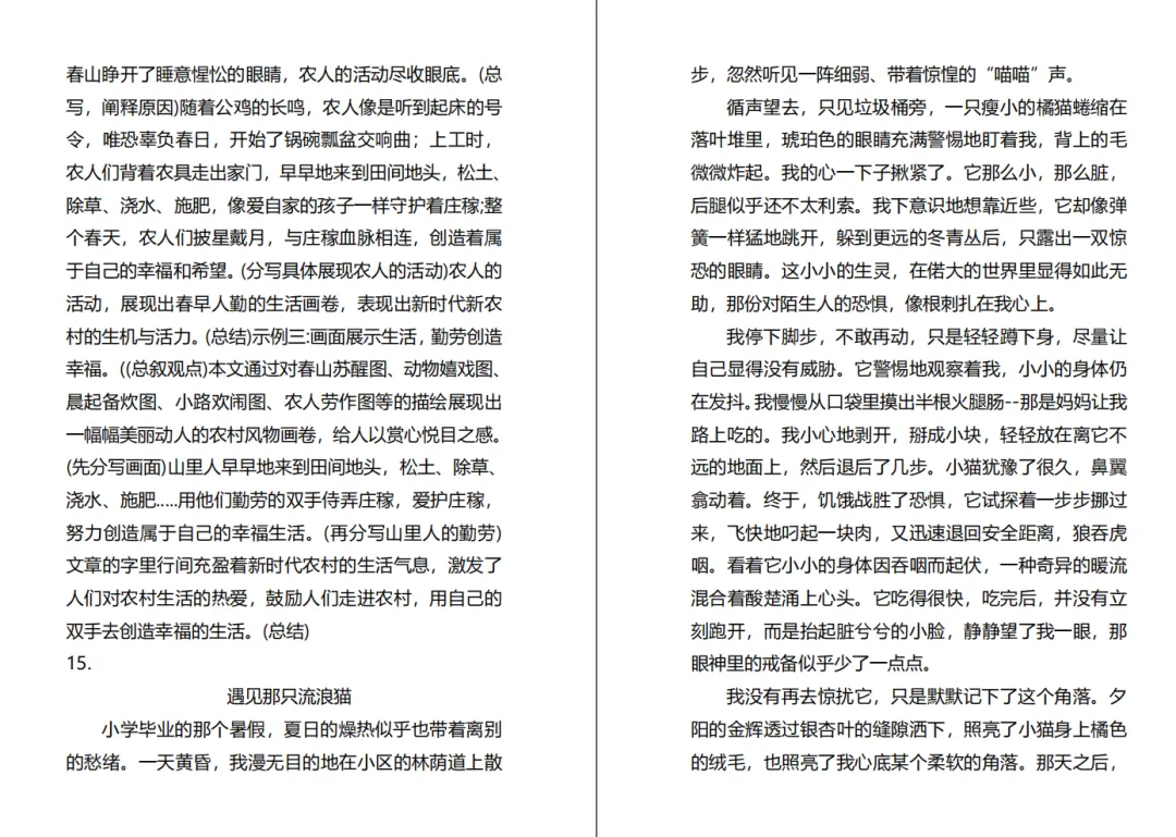 【初一必看】25-26大同一中北校10月月考卷-第8张图片-四季读书网