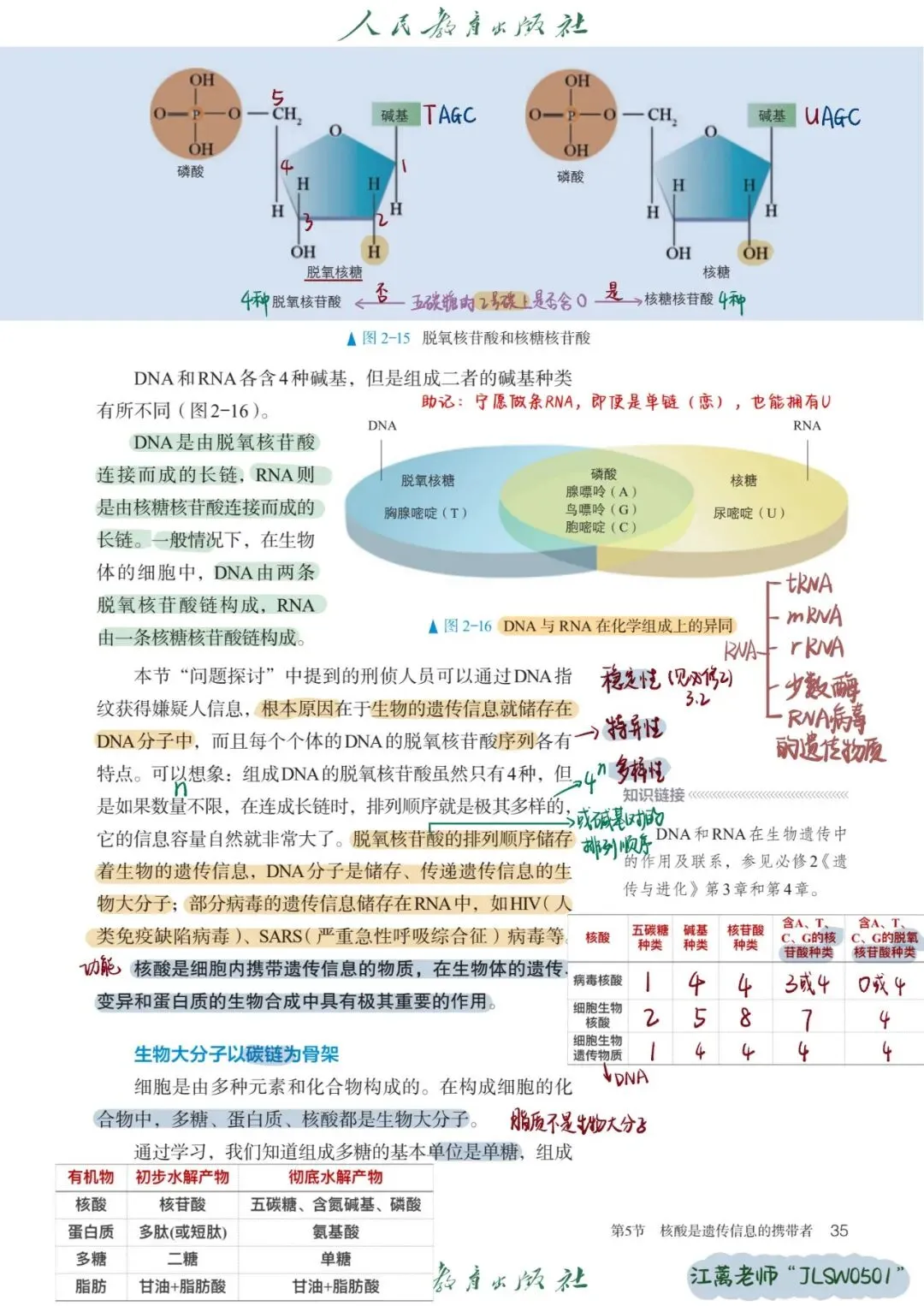 《核酸是遗传信息的携带者》试卷完整解析+易错知识点汇总-第2张图片-四季读书网